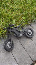 Mini Eride Pro (Build your own)